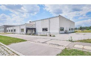 Büro zu mieten in 1210 Wien, Halle mit 700qm Nutzfläche und Nebenräume in 1210 Wien – ideal für Lager, Produktion und Logistik