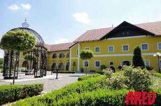 Wohnung mieten in 4751 Dorf, Gemütliche Terrassen-Wohnung am Land