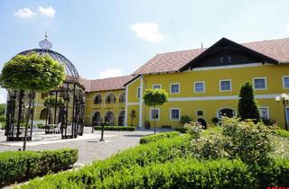 Wohnung mieten in 4751 Dorf, Gemütliche Terrassen-Wohnung am Land