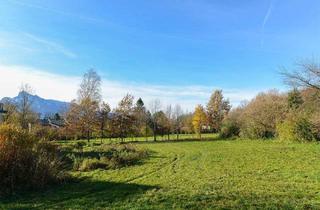 Grundstück zu kaufen in Gaisberg, 5020 Salzburg, Top Adresse! 2.000 m² Grundstück in ruhiger Lage mitten in Salzburg-Aigen