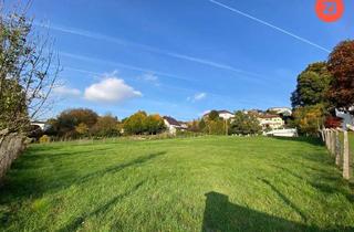 Grundstück zu kaufen in Unterhöf 13-15, 4073 Wilhering, Flächenteilung möglich: Malerisches Grundstück mit Waldblick in Wilhering