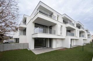 Wohnung mieten in Dir.-Josef-Stiedl-Gasse, 3133 Traismauer, TRAISMAUER II/1, geförderte Mietwohnung mit Kaufoption, OG Top 18, 1100/00035801/00001118