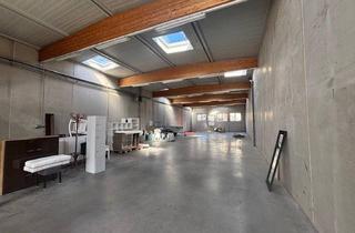 Gewerbeimmobilie mieten in 7100 Neusiedl am See, Neusiedl am See - moderne Werkshalle mit zahlreichen Parkmögichkeiten