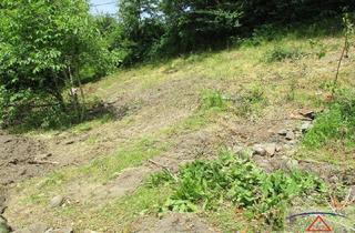 Grundstück zu kaufen in 4101 Feldkirchen an der Donau, Schöner Baugrund mit ca. 594 m² zu verkaufen!