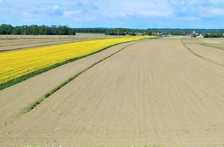 Grundstück zu kaufen in Freizeitparadies Röcksee, 8480 Mureck, Über 5000m² Bauland in ruhiger Lage