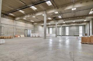 Büro zu mieten in 2351 Wiener Neudorf, Effiziente Lagerhallen in Wr. Neudorf