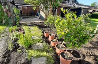 Wohnung kaufen in 6921 Kennelbach, Provisionsfrei Gemütliche 4-Zimmer-Dachgeschosswohnung mit Garten