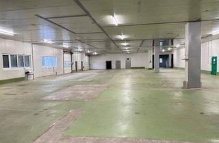 Büro zu mieten in 8600 Bruck an der Mur, Lagerhalle zu mieten! 2.142m² Nfl. - Lagerhalle in Bruck an der Mur