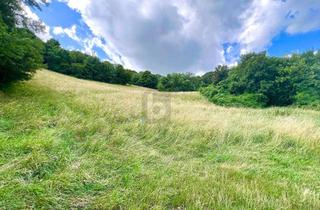 Grundstück zu kaufen in 3400 Klosterneuburg, TRAUMHAFTES GRÜNLAND