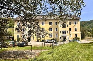 Wohnung kaufen in 2640 Gloggnitz, GÜNSTIGE GELEGENHEIT- Anlegerwohnung zum Bestpreis