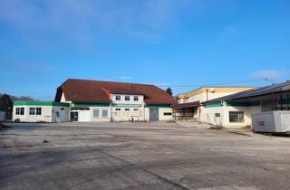 Lager kaufen in 4680 Haag am Hausruck, Alles in einem: Gewerbe - Lager - Wohnen. Solider Ertrag mit großem Potenzial