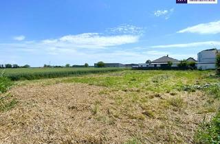 Grundstück zu kaufen in Karl Neumüller-Straße, 2441 Mitterndorf an der Fischa, Perfekt für Häuslbauer und als Anlage: Baugrundstück I Grünruhelage I unverbautes Gegenüber I Kein Bauzwang!