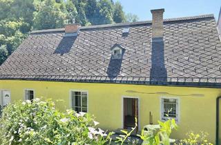 Mehrfamilienhaus kaufen in 8940 Liezen, Mehrfamilienhaus + Ausbauchance! Große Garage und grüner Garten! Zweitwohnsitzmöglich!