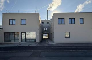 Büro zu mieten in Industriezeile, 4020 Linz, Moderne Gewerbeimmobilie - Erstbezug in der Linzer Industriezeile
