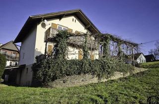 Einfamilienhaus kaufen in 8505 Sankt Nikolai im Sausal, St. Nikolai im Sausal: Einfamilienhaus mit ca. 7.600 m² großem Grundstück & Fernblick