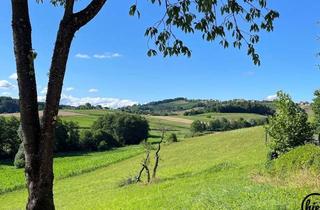 Einfamilienhaus kaufen in 8505 Sankt Nikolai im Sausal, St. Nikolai im Sausal: Einfamilienhaus mit ca. 7.600 m² großem Grundstück & Fernblick