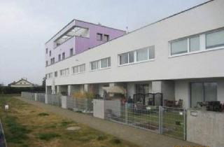 Wohnung mieten in Pfalzgasse, 1220 Wien, Wohnung in 1220 Wien, Pfalzgasse 37 mit einem Monat mietfrei zur Selbstsanierung