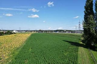 Grundstück zu kaufen in 8430 Leibnitz, Gewerbegrundstücke im Gewerbegebiet Leibnitz
