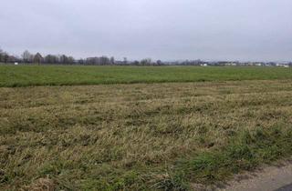 Immobilie kaufen in 4343 Mitterkirchen, Verkaufe Acker / landwirtschaftliche Nutzfläche