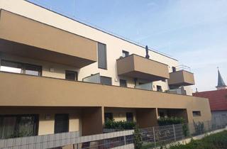 Wohnung mieten in Hauptstraße 6, 2722 Winzendorf, WINZENDORF II/1, geförderte Mietwohnung, 2. OG Top 12, 1200/00046521/00001112