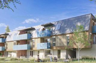 Wohnung mieten in Alois-Ginsthoferstraße 6, 3442 Langenrohr, LANGENROHR III/1, "Betreutes Wohnen (BV)" - geförderte Mietwohnung, 1. OG Top 1.11, 1000/00011991/00001111