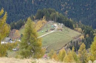 Lager kaufen in 9562 Außerteuchen, 52-Hektar-Naturparadies mit Hofstelle, Stallungen & Wildtierhaltung