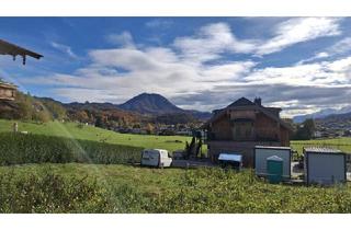 Grundstück zu kaufen in 5101 Bergheim, Traumhaftes Baugrundstück in Bergheim: ideal für ein exklusives Wohnungsprojekt