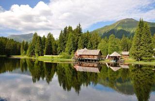 Gewerbeimmobilie kaufen in 8785 Hohentauern, Pfahlbaudorf