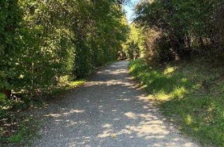 Haus kaufen in Sickingengasse 13, 1100 Wien, Haus beim See