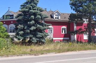 Anlageobjekt in 2462 Wilfleinsdorf, DAS ÄLTESTE GEWERBE DER WELT (10% RENDITE) - Etablissement mit aufrechter Betriebsanlagengenehmigung nähe Wien - Ertragsliegenschaft mit Entwicklunspotential, hochinteressanter Grundriss (GUTACHTEN VORHANDEN)