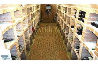 Grundstück zu kaufen in 2172 Schrattenberg, Genießen, entschleunigen, ankommen