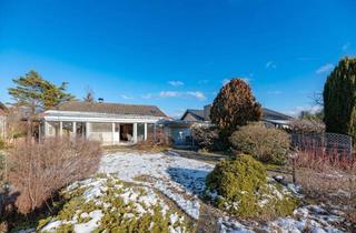 Einfamilienhaus kaufen in 2601 Eggendorf, Doppelte Parzelle in Ruhelage: Gepflegter Bungalow mit Wintergarten und Doppelgarage auf einer Doppelparzelle