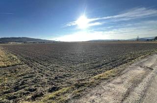 Grundstück zu kaufen in 3380 Pöchlarn, Attraktives Betriebsgrundstück in Pöchlarn!