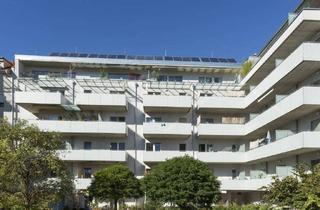 Wohnung mieten in Hauseggerstraße 43, 8020 Graz, Zentrale 3-Zimmerwohnung in Graz-Eggenberg ab 01.04. bzw. 01.03.2026, Hauseggerstraße