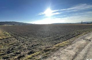 Grundstück zu kaufen in 3380 Pöchlarn, Attraktives Betriebsgrundstück in Pöchlarn!