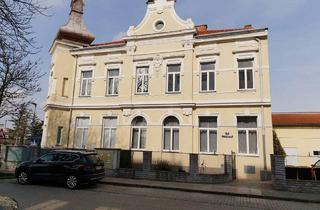 Wohnung mieten in Schulgasse 24, 2514 Möllersdorf, Ein - Zimmerwohnung in Möllersdorf zu vermieten!