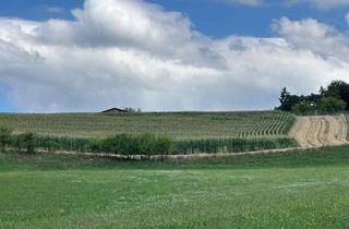 Gewerbeimmobilie kaufen in 8401 Kalsdorf bei Graz, Landwirtschaftliche Nutzflächen in Großsulz bei Kalsdorf zu kaufen!