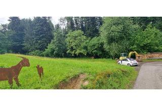 Grundstück zu kaufen in 6914 Hohenweiler, Attraktives Baugrundstück in Hohenweiler