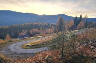 Grundstück zu kaufen in 8530 Deutschlandsberg, Hebalm Grundstück in der letzten Reihe mit traumhaftem Weitblick (Provisionsfrei)