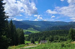 Grundstück zu kaufen in 8530 Deutschlandsberg, "Aufi auf die Olm": Grund mit Wald auf der Hebalm (Provisionsfrei)
