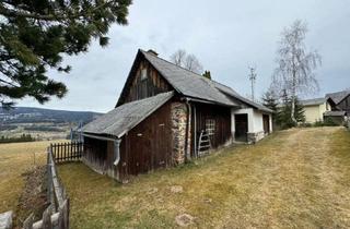 Gewerbeimmobilie kaufen in 9451 Preitenegg, Historische Schmiede im Ortskern von Preitenegg, Kärnten - vielseitig nutzbar!