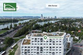 Wohnung mieten in Kaisermühlenstraße, 1220 Wien, Charmante 2-Zimmer Gartenwohnung in 1220 Wien - ab sofort verfügbar!