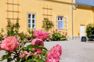 Wohnung mieten in 4820 Bad Ischl, Altbau