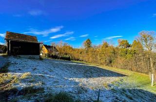 Grundstück zu kaufen in 8511 Sankt Stefan ob Stainz, Ruhelage im Grünen: Baugrundstück im weststeirischen Kirchberg.