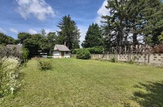 Grundstück zu kaufen in 2231 Strasshof an der Nordbahn, Großzügiges Baugrundstück mit viel Potential in Strasshof – Silberwald