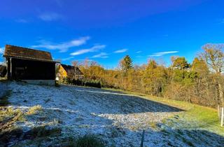 Grundstück zu kaufen in 8511 Sankt Stefan ob Stainz, Ruhelage im Grünen: Baugrundstück im Weststeirischen Kirchberg.