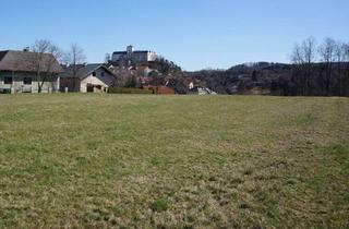 Grundstück zu kaufen in Reinprechtsfeld, 3970 Weitra, Baugrundstück in Weitra, Siedlung Reinprechtsfeld - Bauplatz 21