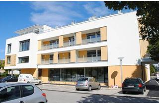 Wohnung mieten in 2232 Deutsch-Wagram, Top 16 | Lichtdurchflutete Mietwohnung mit großem Balkon - 62 m²