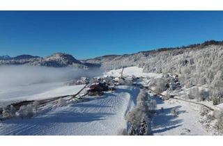 Einfamilienhaus kaufen in 9065 Ebenthal, Einfamilienhaus i.Ruhelage Radsberg – parkähnlicher Garten, Wintergarten, Kachelofen & Nebengebäude