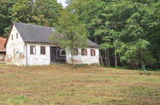 Haus kaufen in 7561 Heiligenkreuz im Lafnitztal, Die Lage...die Lage...die Lage...absolute Alleinlage im Südburgenland